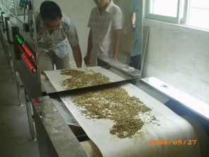 花生微波熟化灭菌设备 2017新型花生米膨化设备 专业厂家定做花生微波膨化熟化机 价格图片,花生微波熟化灭菌设备 2017新型花生米膨化设备 专业厂家定做花生微波膨化熟化机