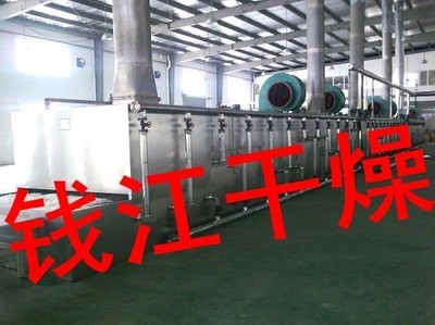 黄山贡菊烘干守护者 探秘常州市钱江干燥设备的匠心工艺